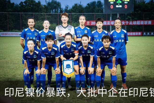印尼镍价暴跌，大批中企在印尼镍厂亏惨，集体减产自救